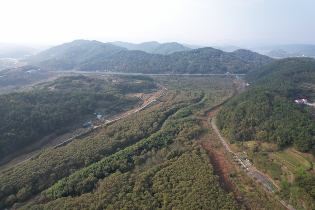 저수구역을 뒤덮은 대규모 버들 군락지 모습. 김현우 기자