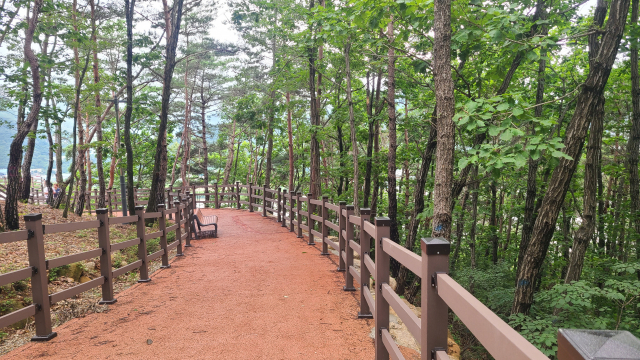 경남 양산의 임경대 주차장에서 정자까지는 200m 정도로 짧은 거리다. 보행로가 잘 정비돼 있어 걷기도 좋다.