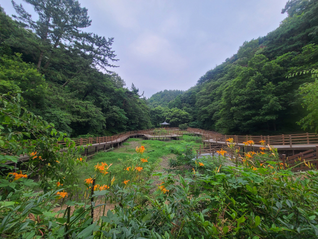 송정박상진호수공원에 조성돼 있는 덱길.