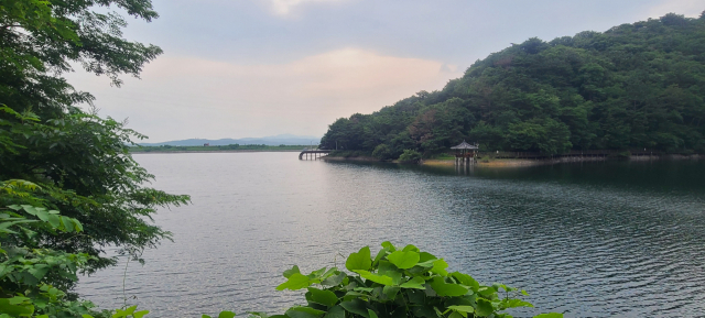 울산 송정박상진호수공원에는 산책로 중간중간에 벤치나 정자가 있어 쉬었다 걸을 수 있다. 정자와 벤치가 있는 쉼터가 맞은편에 보인다.