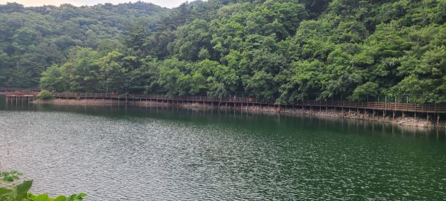 울산 송정박상진호수공원 산책로. 산책로는 나무 덱길이 대부분이라 걷기 편하다.