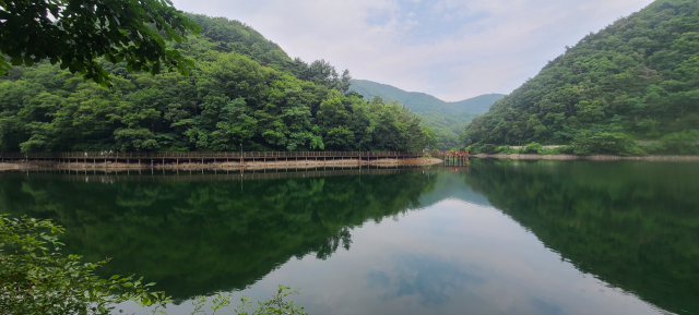 울산 북구 송정박상진호수공원은 흐린 날이나 비가 올 때 특히 걷기 좋은 곳이다. 맑은 날에 볼 수 없던 새로운 경치를 발견하는 순간 카타르시스가 느껴진다. 저수지를 둘러싼 산봉우리가 수면에 거울처럼 비친다.