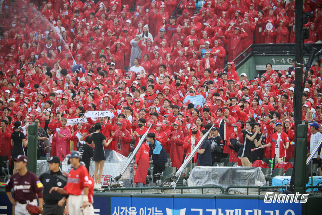 23일 부산 사직구장에는 1만 1470명의 관중이 들어서 열띤 응원이 펼쳐졌다. 롯데 자이언츠 제공
