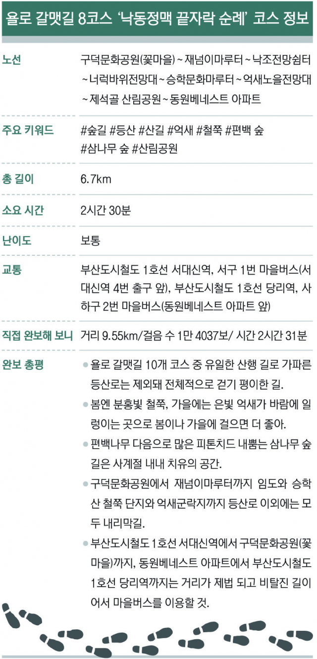 욜로 갈맷길]⑧ 청량한 산길에서 치유를 선물받다 - 부산일보