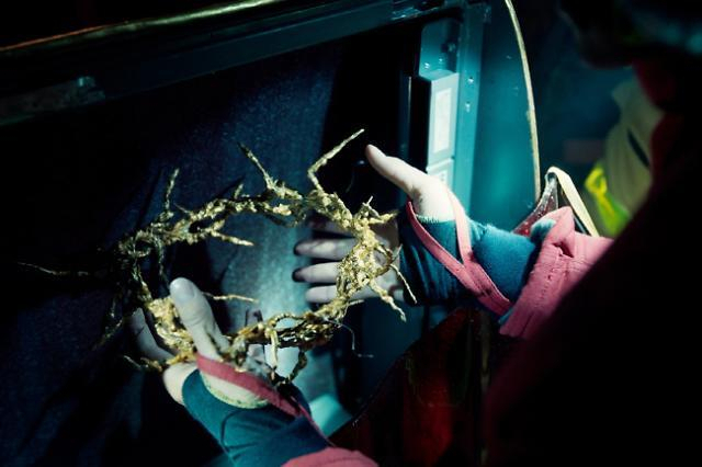 영화 ‘노트르담 온 파이어’. 찬란 제공