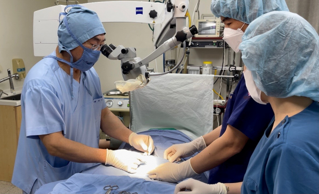 이 원장의 난임 시술 장면. 세화병원 제공