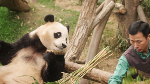 영화 ‘안녕, 할부지’ 스틸컷. 바른손이앤에이 제공