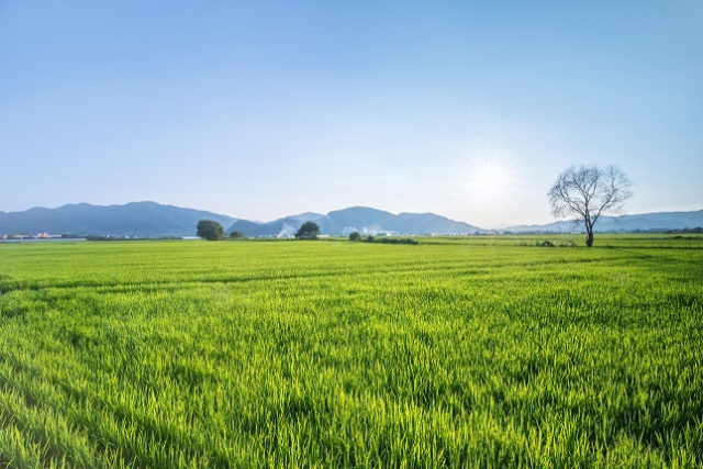 정부가 사상 처음으로 전국 농지 주인들을 대상으로 전수조사를 벌이는 방안을 추진 중이다. 클립아트코리아