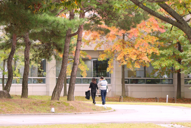 대구미술관을 둘러본 관람객들이 단풍으로 물든 미술관 주변에서 산책하고 있다. 남태우 기자