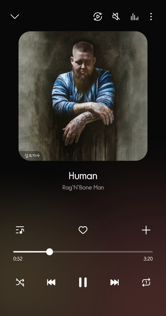 랙 앤 본 맨(Rag’n’Bone Man)의 ‘휴먼(Human)’.