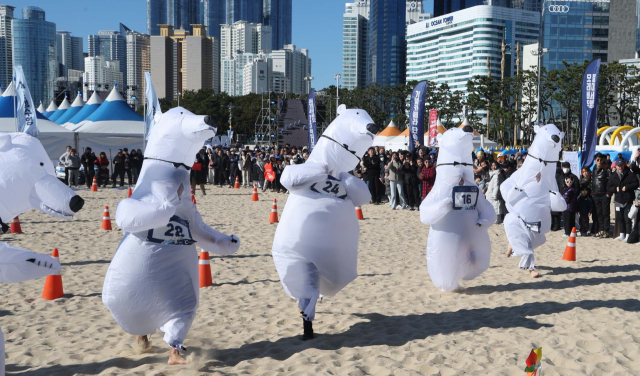 축제 참가자들이 북극곰 복장을 하고 러닝 레이스 경기를 하고 있다. 이재찬 기자 chan@