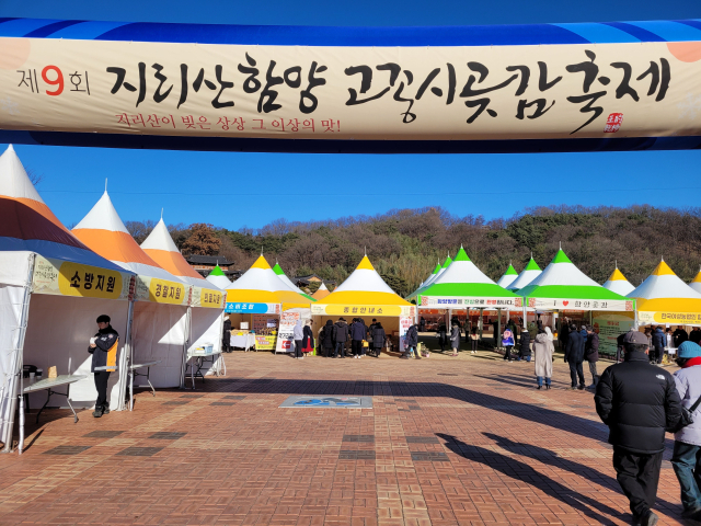 10일 경남 함양군 상림공원에서 제9회 지리산함양고종시곶감축제가 개막했다. 함양군 제공