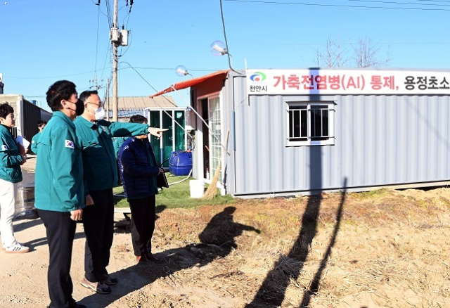 이한경 행정안전부 재난안전관리본부장이 15일 충남 천안시 동남구 산란계 밀집단지 현장을 방문해 고병원성 조류인플루엔자(AI) 방역관리 상황을 점검하고 있다. 행안부 제공