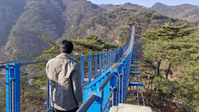 소금산 그랜드밸리 출렁다리. 계곡 100m 위에 설치돼 다소 흔들리지만, 빼어난 주변 경관에 흠뻑 젖다 보면 두려움은 금세 사라진다. 김희돈 기자