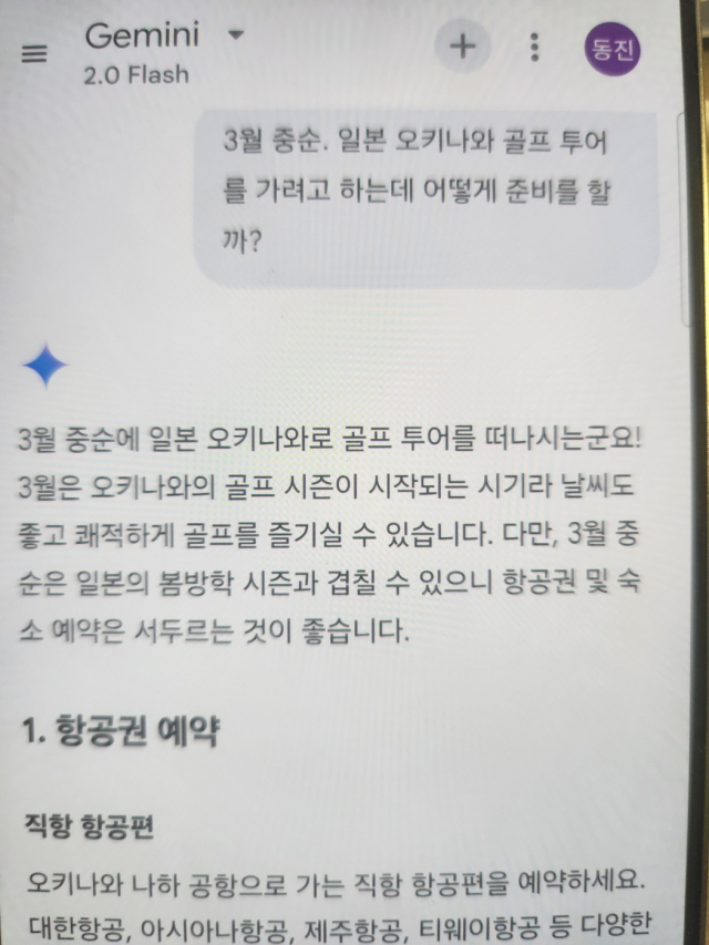 삼성전자 ‘갤럭시 S25 울트라’의 제미나이 AI를 통해 일본 오키나와 여행을 질문했을때 답변 내용.djbae@