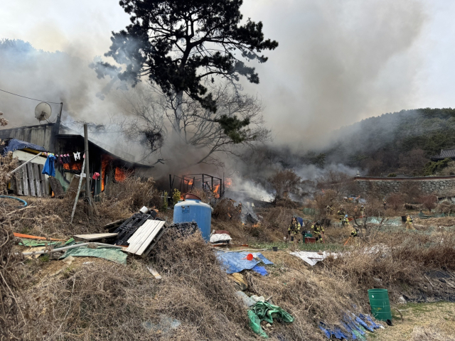 부산 사하구 구평동 야산 화재. 부산소방재난본부 제공