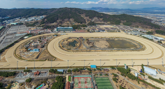 내년 9월 영천경마공원 개장을 앞두고 경주마를 부산경남경마공원에서 수급하는 계획이 승인되어 부산경남경마공원의 경기수가 매년 감소할 예정이다. 이로인해 부산경남경마공원의 레저세 최대 300억 원이 감소 예상된다. 부산 강서구 부산경남경마공원 전경. 김종진 기자 kjj1761@