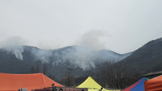 지난 22일 경남 김해시 한림면 야산에서 발생한 불이 사흘째 꺼지지 않고 있다. 김해시 제공