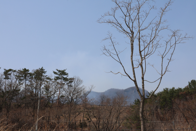 울산시 울주군에서 발생한 산불이 강풍을 타고 양산 방향으로 확산되면서 양산시 산림당국도 비상에 걸렸다. 양산시 제공