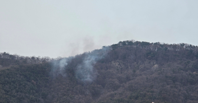 지난 22일 경남 김해시 한림면에서 발생한 산불이 화재 발생 나흘 만에 진화됐다. 김해시 제공