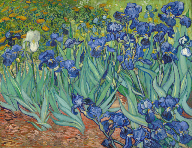 고흐 '아이리스'(붓꽃), 1889, 캔버스에 유채, 71×93cm, 게티미술관 소장, 미국.