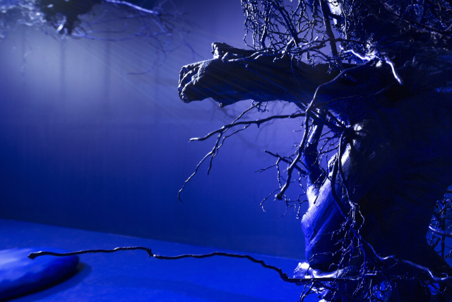 조은필_From Space to Time_variable installation_2025. 리앤배 제공