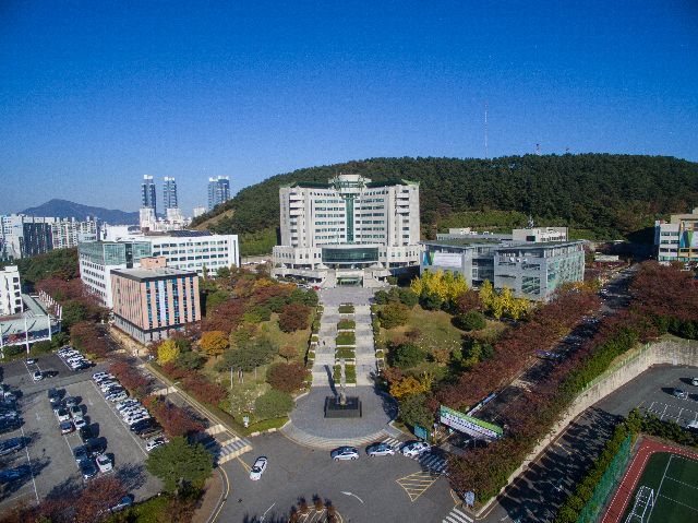 부산 남구 동명대 전경. 부산일보DB