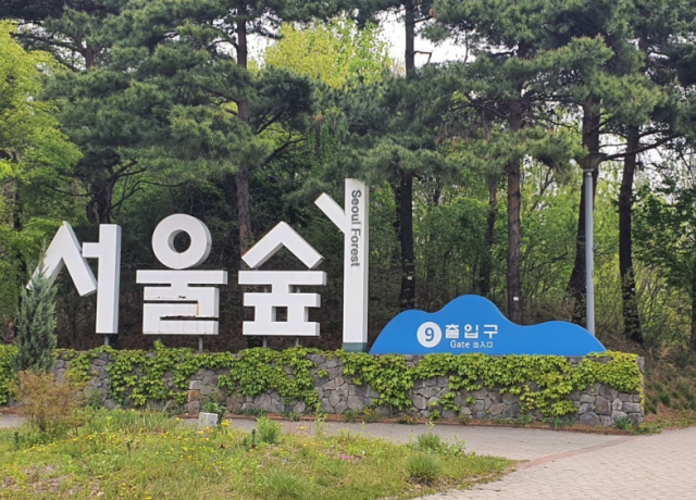 서울숲. 연합뉴스