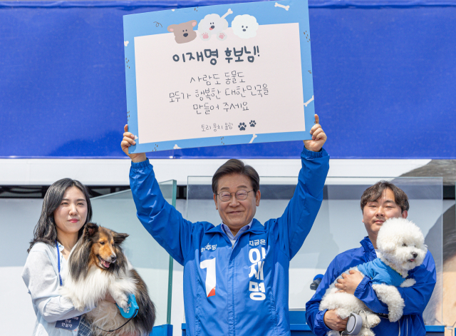 이재명 대통령(당시 대선 후보)이 집중유세에서 강원도에 사는 반려견들과 함께 퍼포먼스를 하고 있다. 연합뉴스