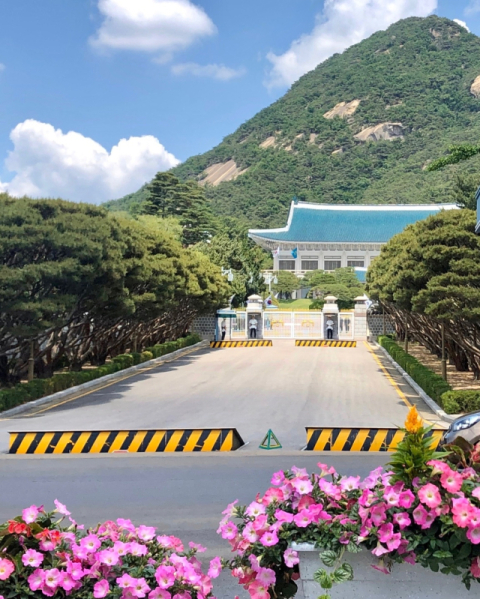 청기와 아래에서 일한 보통 사람들의 기록