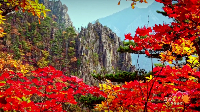 금강산이 북한의 유네스코 세계유산이 됐다. 5월 27일 유네스코에 따르면 세계유산위원회의 자문기구인 국제기념물유적협의회(ICOMOS·이코모스)와 세계자연보전연맹(IUCN)은 북한 측이 세계유산으로 등재 신청한 금강산에 대해 '등재' 권고 판단을 내렸다. 정식 명칭은 '금강산'(Mt. Kumgang - Diamond Mountain from the Sea)이다. 사진은 북한 조선중앙TV가 2023년 10월 24일 방영한 드론을 이용해 촬영한 붉게 물든 금강산의 가을풍경. 연합뉴스