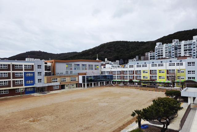 부산 남구 용호초등학교 전경. 남부교육지원청 제공
