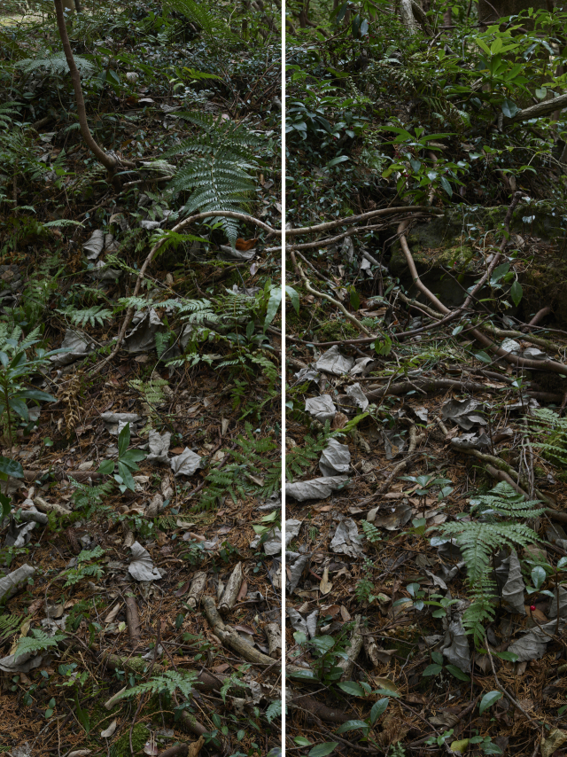 정희승의 '윌더'(Wilder) 중 '무제'(Untitled, a set of 2 panels). 고은 깁슨 사진미술관 제공