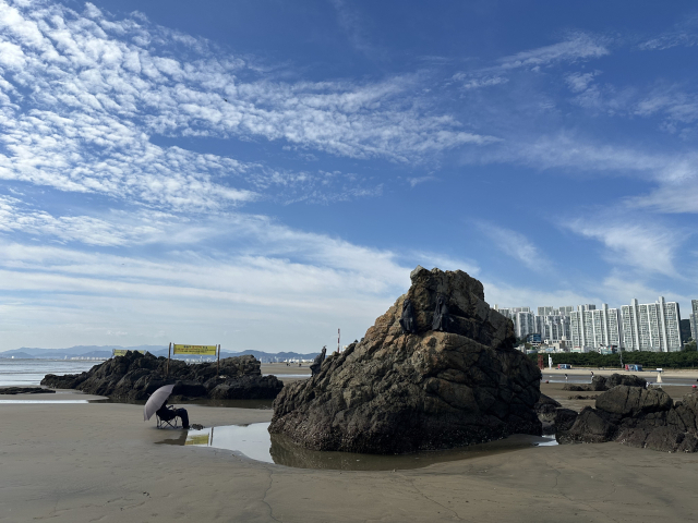 하이케 카비쉬 ‘마이 시스터즈’(2025). 김은영 기자 key66@