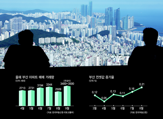 부산 수영구 금련산 전망대에서 바라본 수영구와 해운대구 아파트 단지들. 정종회 기자 jjh@/그래픽=류지혜 기자 birdy@