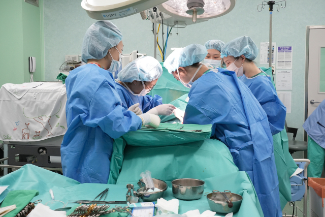 인제대부산백병원이 일주일 넘게 이어진 추석 연휴 내내 응급의료센터를 정상 운영한 덕택에 2개월 된 신생아를 비롯한 응급 중증환자들이 무사히 치료를 받을 수 있었다. 병원 의료진이 소아 환자를 수술하는 모습. 인제대부산백병원 제공