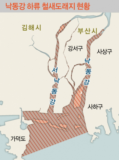 부산시, 낙동강 철새도래지 보호구역 조정 추진