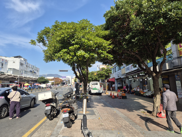 지난달 31일 철도역 부전역과 부산도시철도 1호선 부전역 사이 인도 위에서 수년간 영업하던 노점들이 부전역 맞이길 조성 사업을 앞두고 철거됐다. 사진은 지난 6일 노점이 있던 부전역 인근 인도 모습. 김동우 기자 friend@