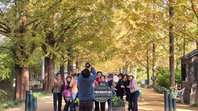 단체 여행객들이 전남 담양군 메타세쿼이아랜드 입구에서 기념사진을 찍고 있다. 남태우 기자