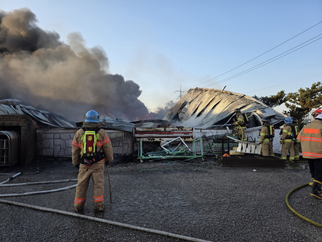 부산 강서구의 비닐 제조 공장에서 불이 난 모습. 부산소방재난본부 제공