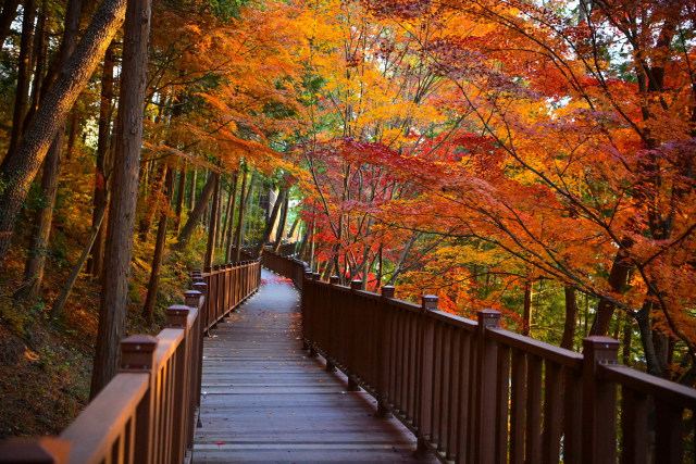 경남 진주시 진양호공원 노을길 모습. 오는 24일 전면 개통을 앞두고 있다. 진주시 제공