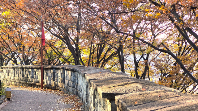 낙엽이 잔뜩 쌓인 경남 진주시 진주성 성벽 둘레길. 남태우 기자