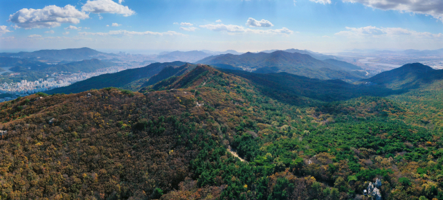 이달 초 부산 금정산 원효봉과 의상봉 능선 모습. 부산일보DB