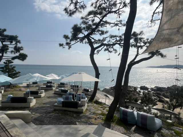 사진은 부산 기장군의 한 오션뷰 대형 카페. 양보원 기자 bogiza@