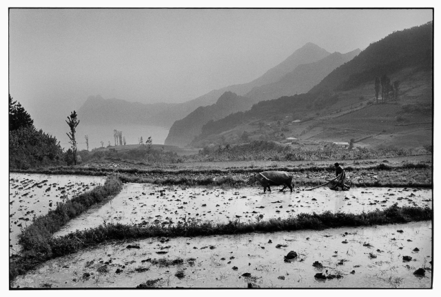 강운구 사진가 대표작 중 하나인 경상북도 울릉도 1973. ⓒ강운구, 고은사진미술관 제공