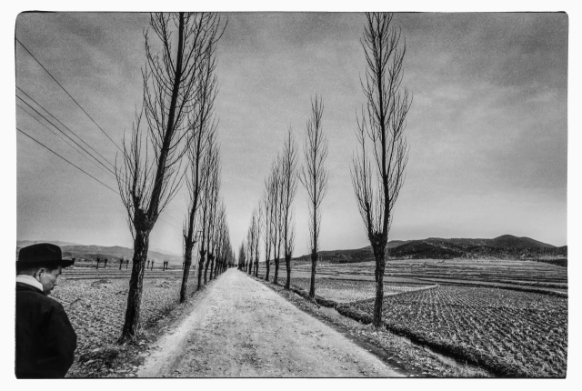 강운구 사진가 대표작 중 하나인 경상북도 월성(경주시 월성동) 1973. ⓒ강운구, 고은사진미술관 제공