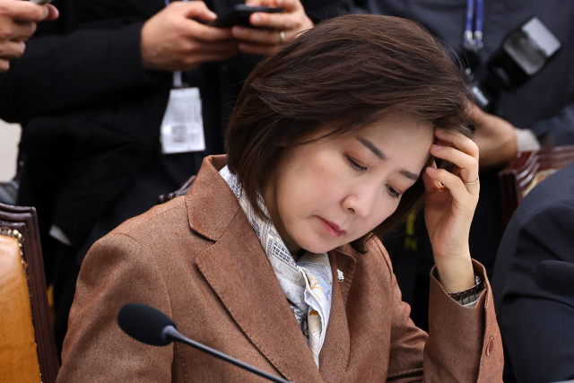 국민의힘 나경원 의원. 연합뉴스