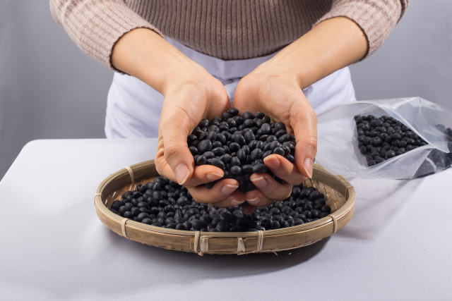 클립아트코리아