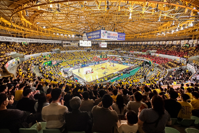 LG 세이커스 팬들이 창원실내체육관에서 열린 농구 경기를 관람하고 있다. LG 세이커스 제공