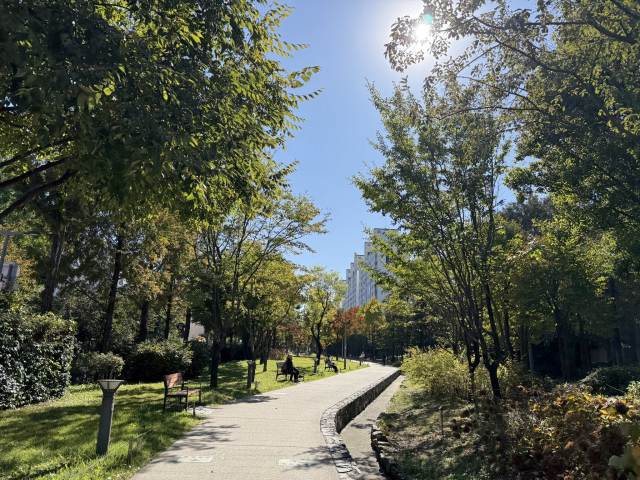 서울 연남동 ‘연트럴파크’(경의선 숲길)의 모습. 보행로 양옆으로 자연스럽게 벤치 등 쉼터가 배치되어 있다.